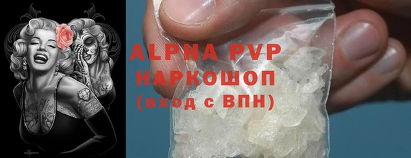 прущие грибы Беломорск