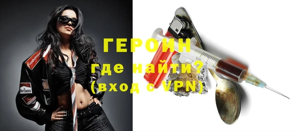 прущие грибы Беломорск