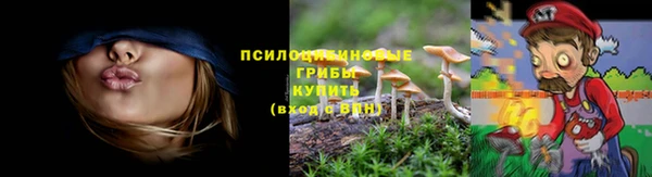 прущие грибы Беломорск