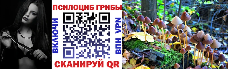 Псилоцибиновые грибы прущие грибы  цена наркотик  Жиздра 